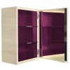 03.03 Collezione Armadio a muro rosa*Aliprandi Valentino Design New