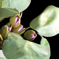 Composizione floreale a Tokyo*VGnewtrend Best