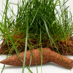 Fioriera Piantatoio di Matali Crasset*Keep Life Online