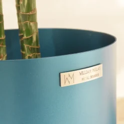 Libreria Oasi*William Mulas Online