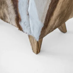 Ottomana alata Gabriele 1941*Berdondini 1926 Hot