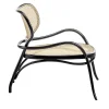 Sedia da salotto Lehnstuhl di Nigel Coates*Gebrüder Thonet Vienna GmbH (GTV) – Wiener GTV Design Discount