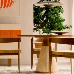 Sedia in Legno di Frassino Ronson con Schienale Curvo*Morelato Sale