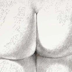 Sgabello Tergonomico*Fornasetti Sale