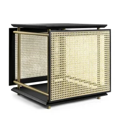 Tavolino Wiener Box di Cristian Mohaded*Gebrüder Thonet Vienna GmbH (GTV) – Wiener GTV Design Sale